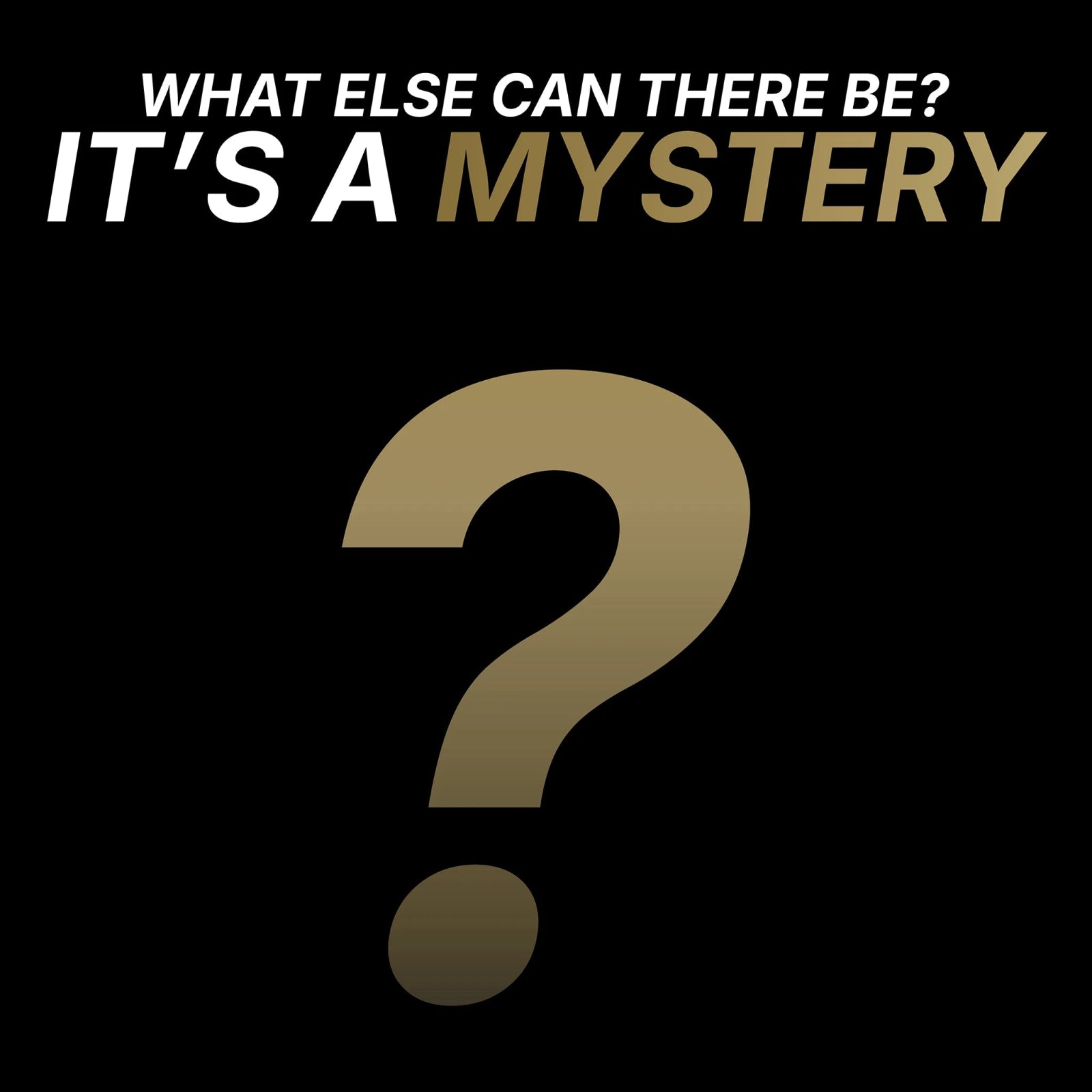 VisionTek.com - The βEveryday Andyβ Mystery Box