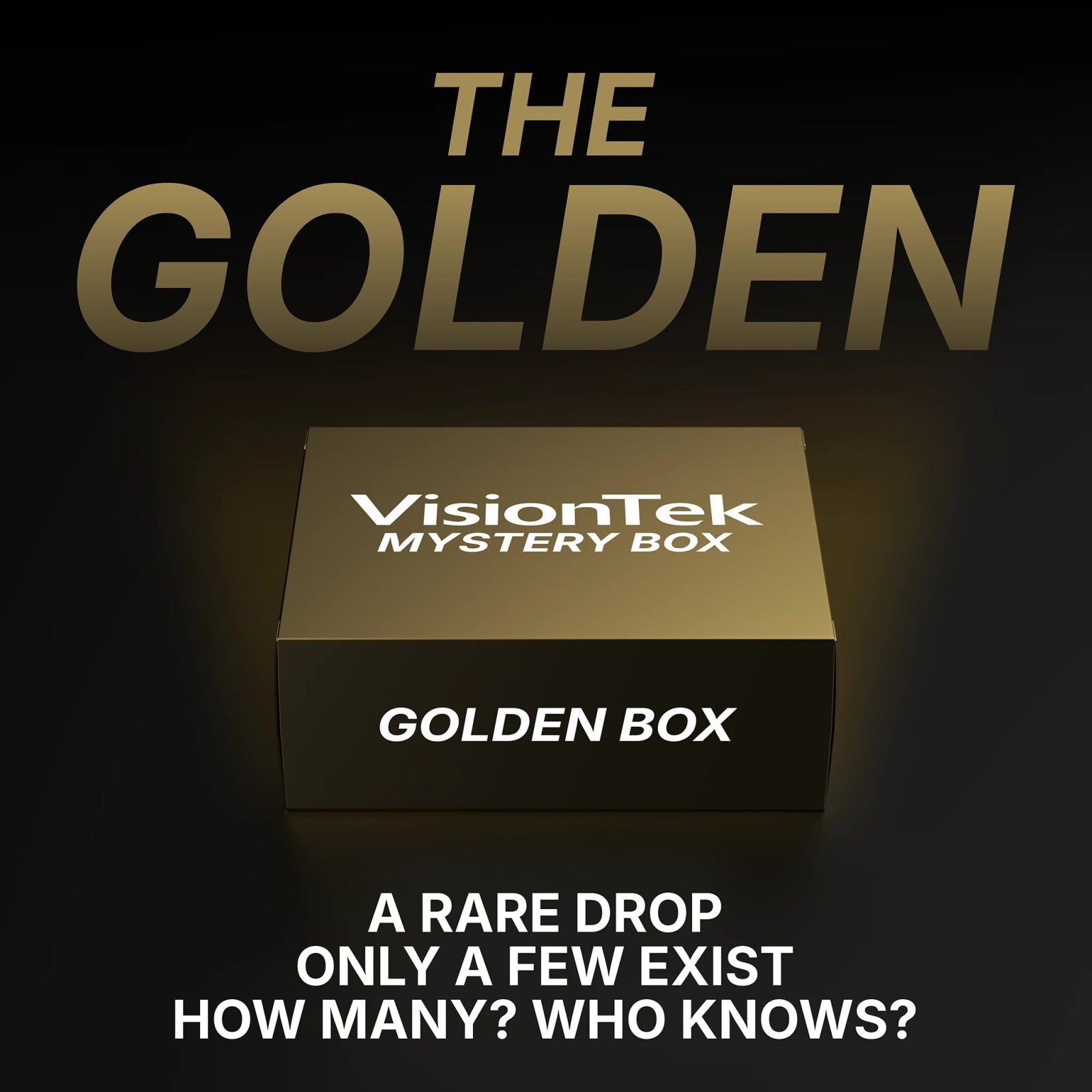 VisionTek.com - The “Everyday Andy” Mystery Box