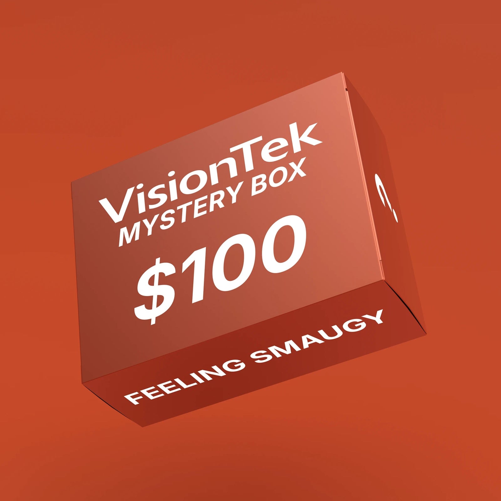 VisionTek.com - The “Feeling Smaugy” Mystery Box