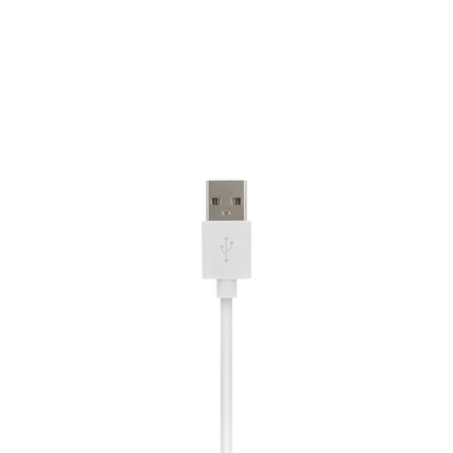 VisionTek Lightning to USB Cable | 6.6 feet (2m) | MFi Certified | Charge & Sync | USB-A to Lightning | Compatible with iPhone, iPad & iPod Devices