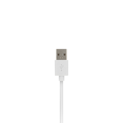 VisionTek.com - VisionTek Lightning to USB Cable | 10 inches (0.25m) | MFi Certified | Charge & Sync | USB - A to Lightning | Compatible with iPhone, iPad & iPod Devices